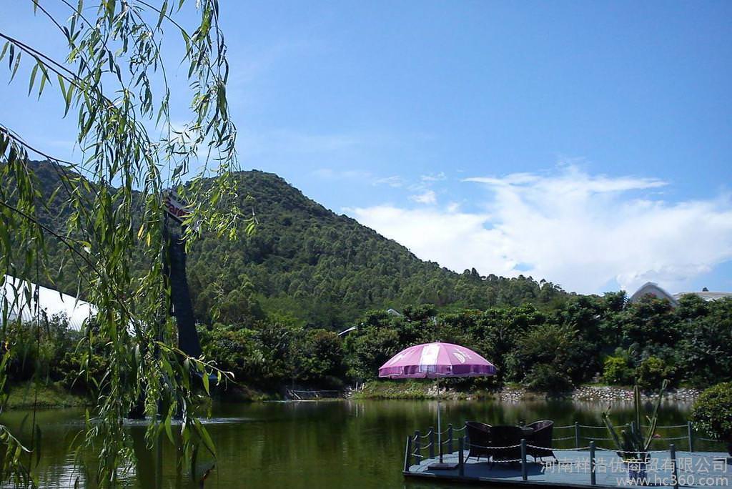 景田百岁山环境